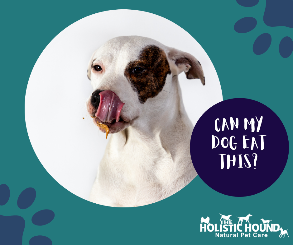 Can my dog eat online