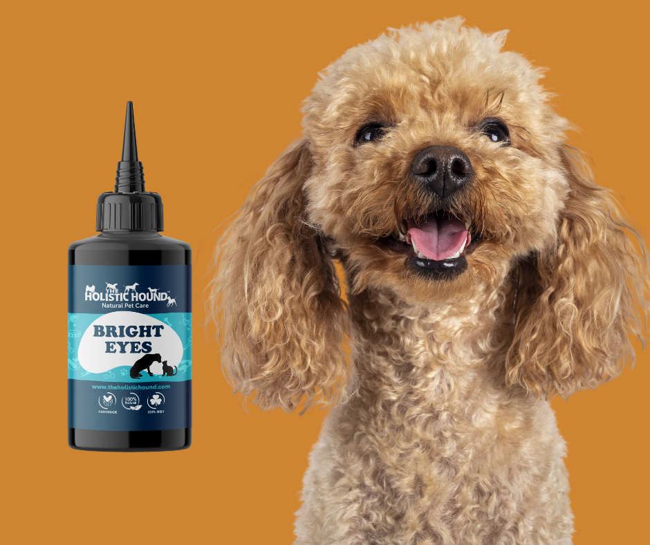 Orange Dog My Dog Ate Hair Dye Bright Eyes Cleansing, Soothing Pet