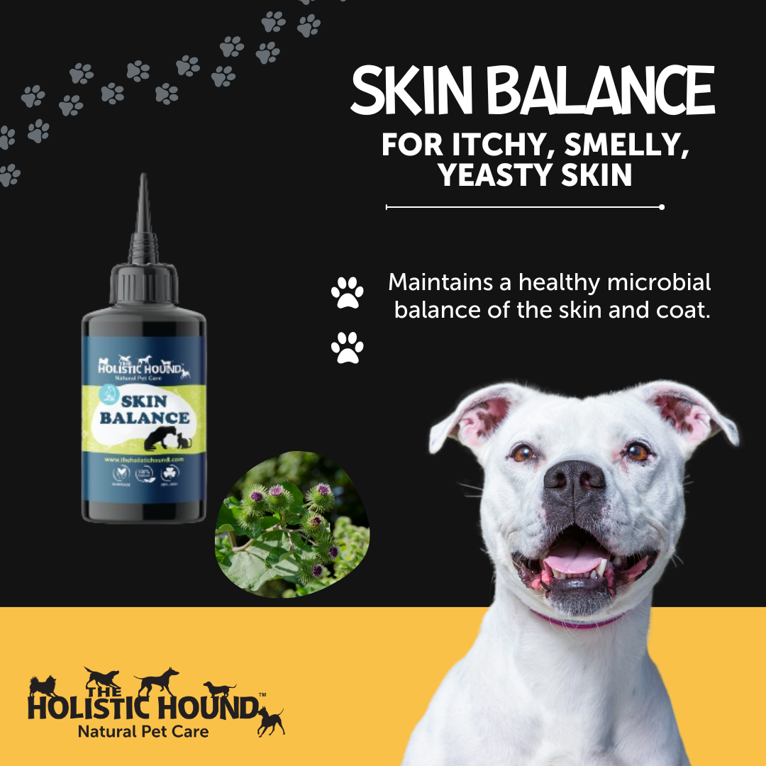 Gallery Detail: Yeast Control Herbal Supplement To Soothe Itchy Skin Support Dogs