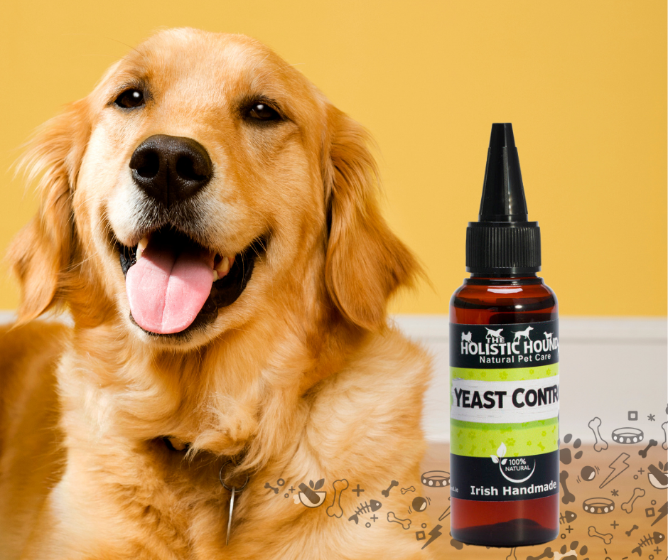 Fresh Look at Yeast Control Herbal Supplement To Soothe Itchy Skin Support Dogs