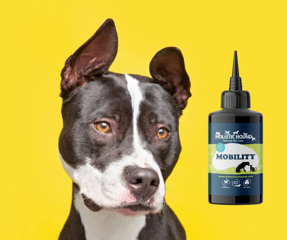 Mobility | 100% natural joint supplement for dogs | Holistic Hound