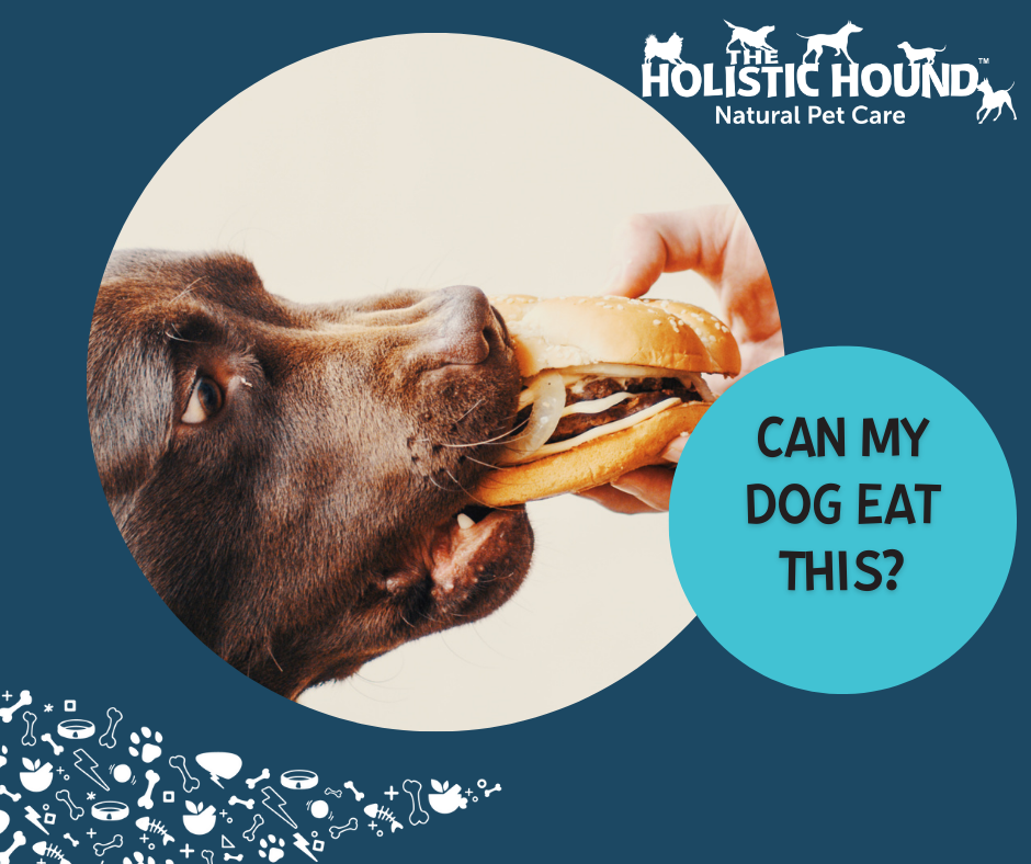 Can My Dog Eat This? - Burgers