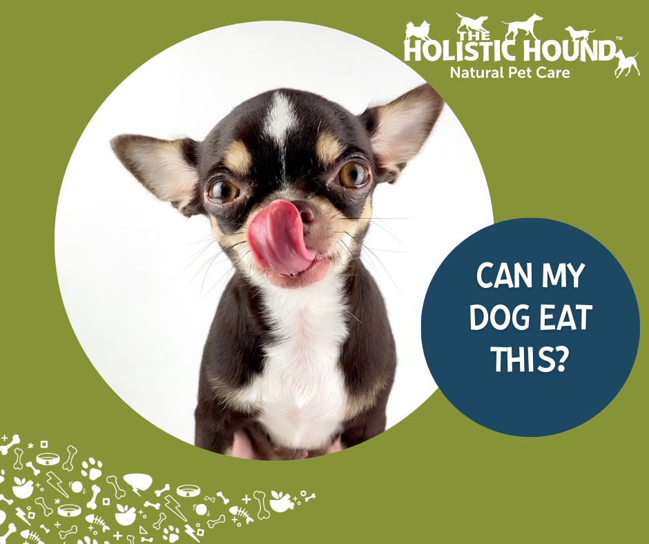 Can My Dog Eat This? Baked Goods