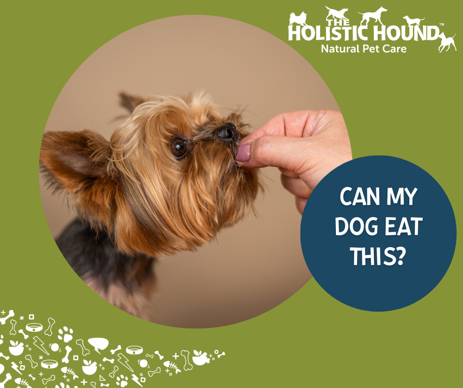 Can My Dog Eat This? - Berries