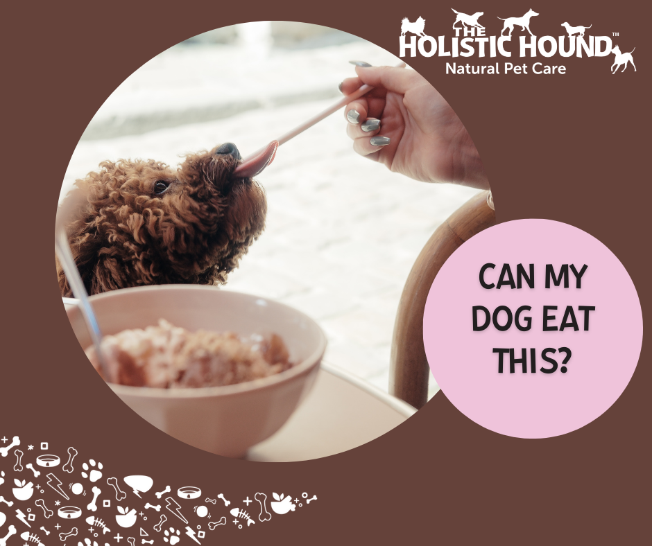 Can My Dog Eat This? - Dairy