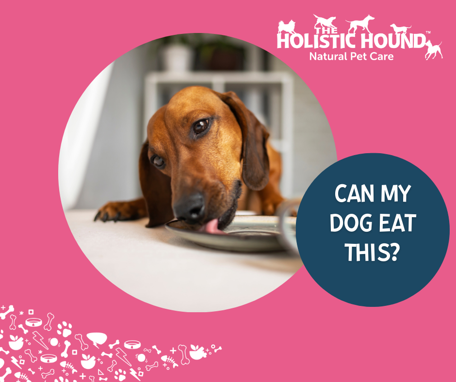 Can My Dog Eat This? Rawhide