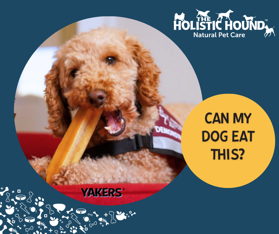 Can My Dog Eat this? - Yak Chews