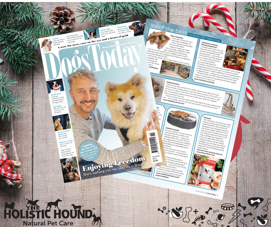 Featured in Dogs Today