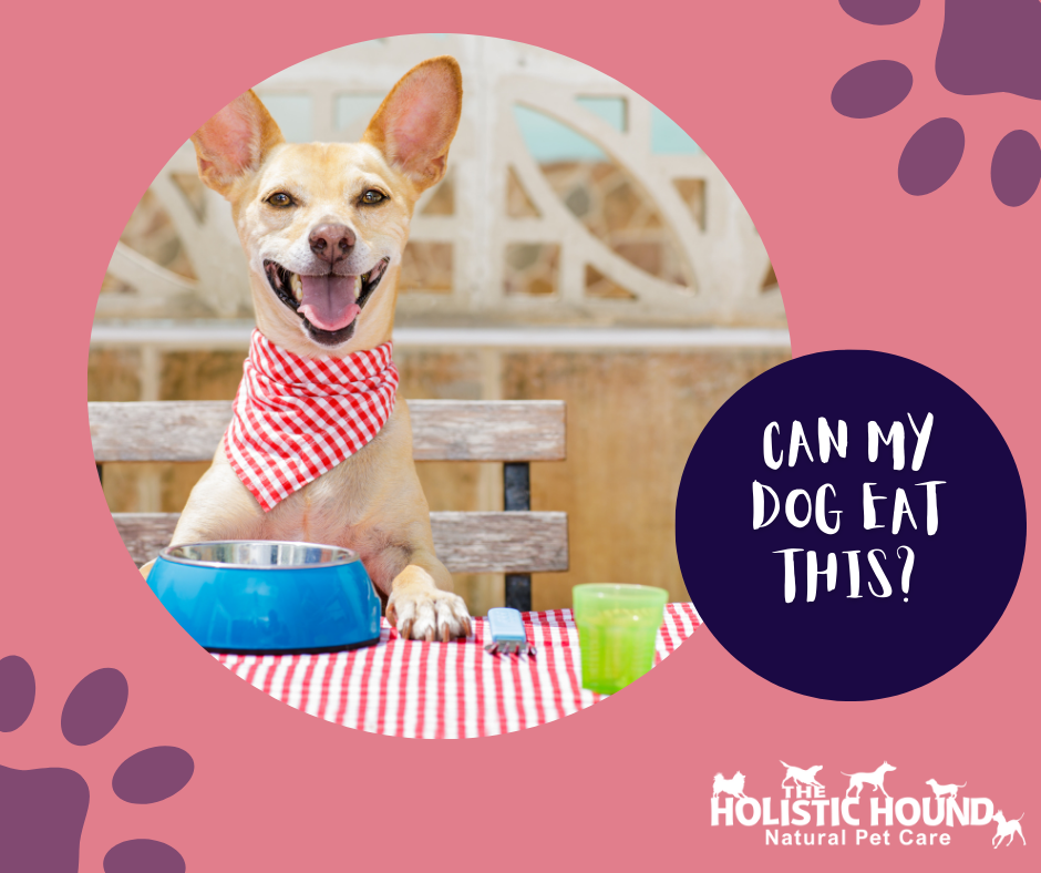 Can My Dog Eat This? - Seeds