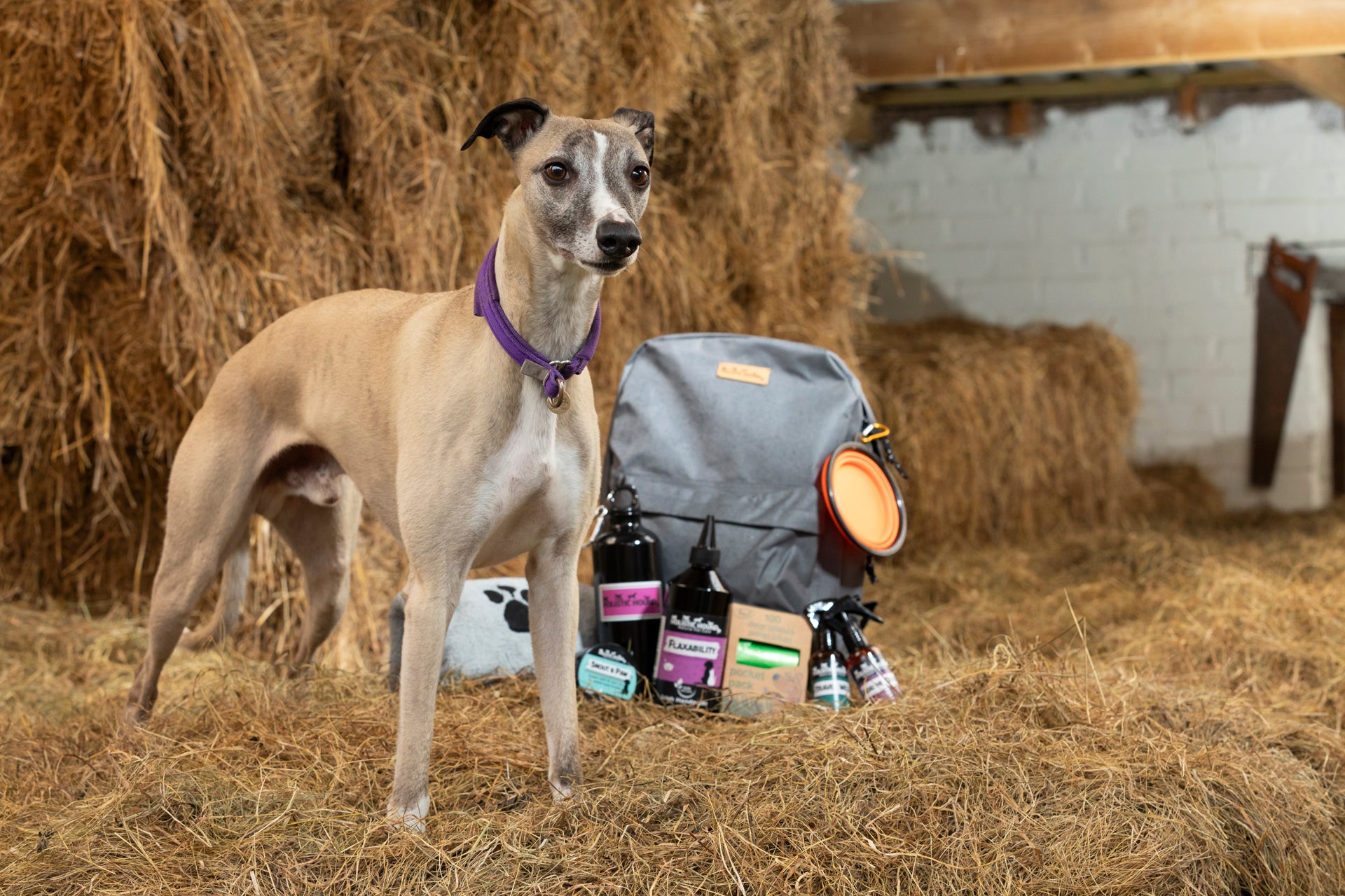 Winter is Here - Now What?