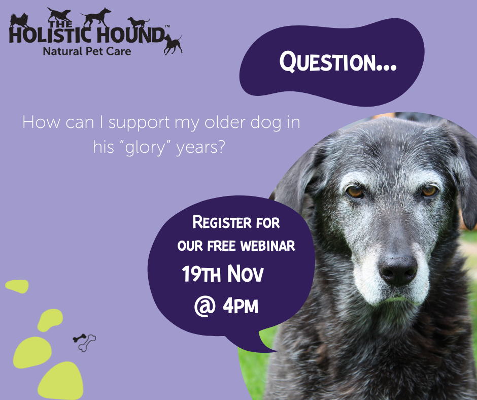 Have you got questions?