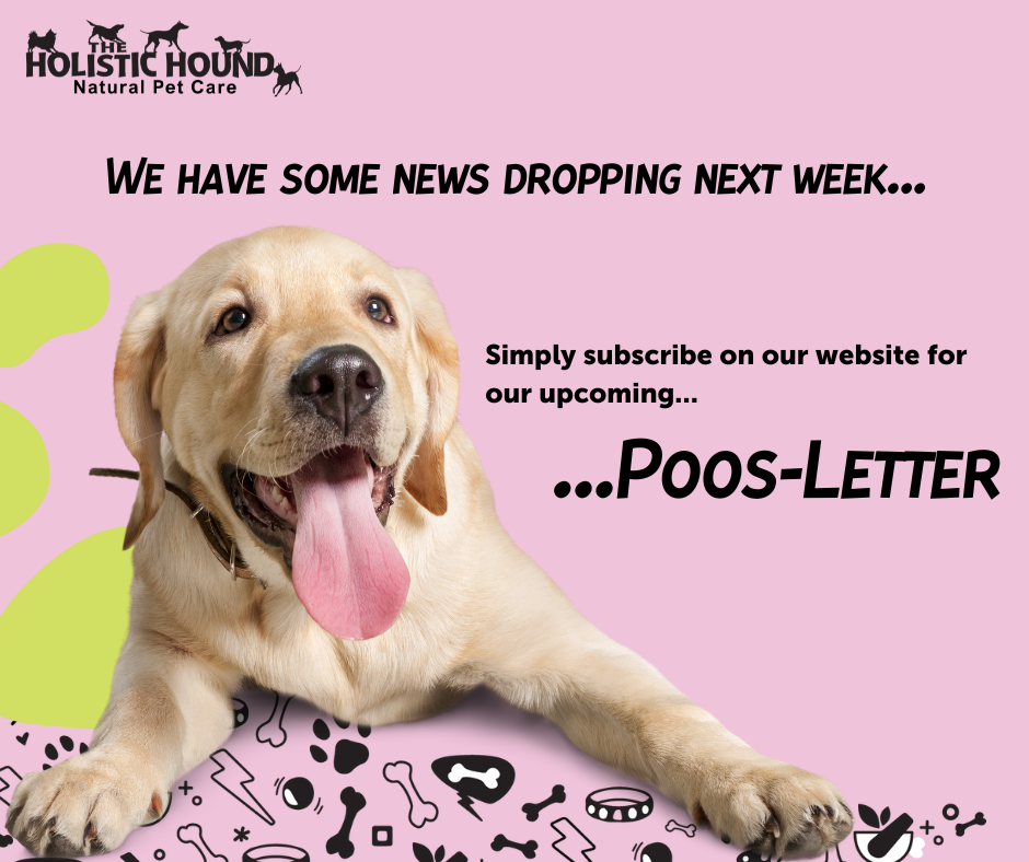 News and More in our Poos-letter