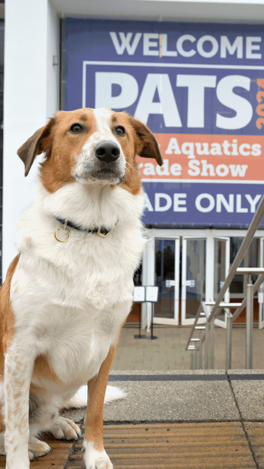 Pet & Aquatics Trade Show 2024
