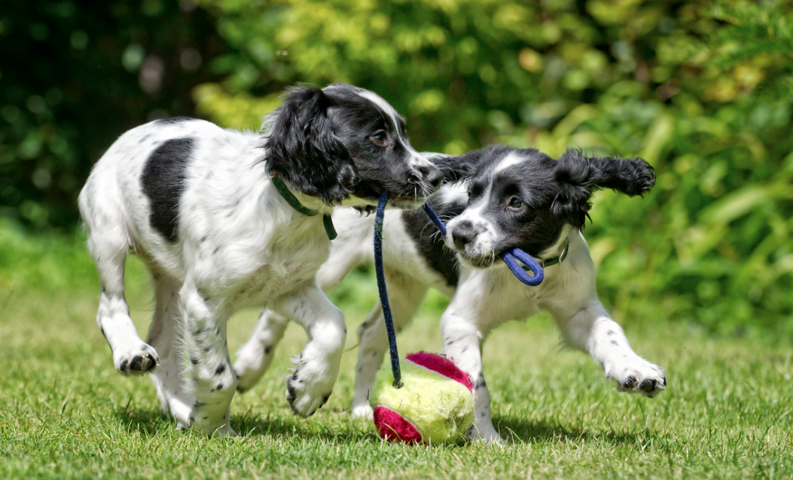 Find Your Local Stockist