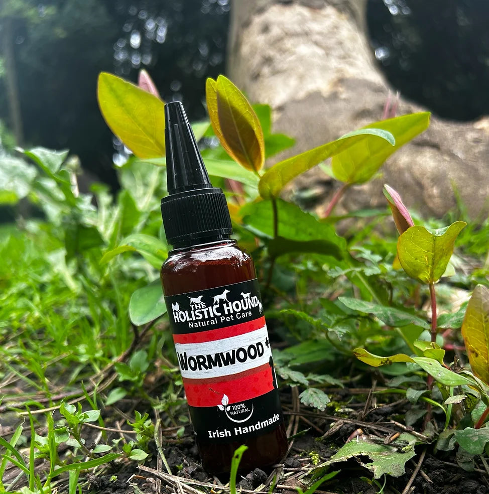 Keeping Your Dog Worm-Free: Natural vs Chemical Options