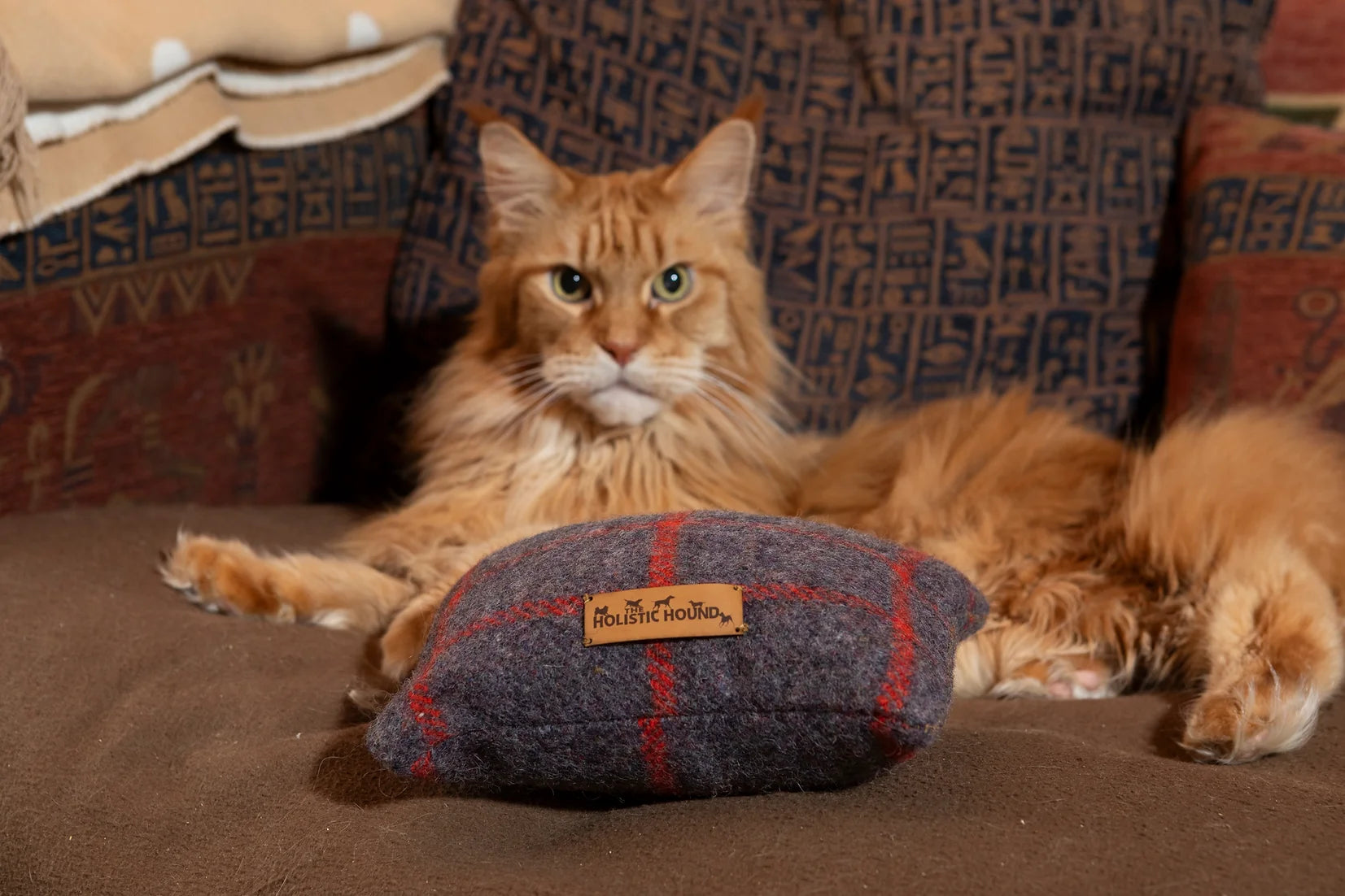 Cozy-Up Calming Cushion