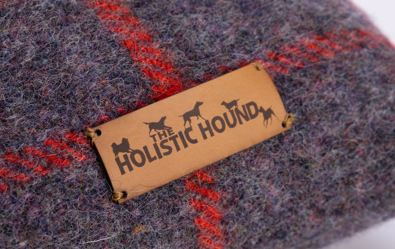 Cozy-Up Calming Cushion