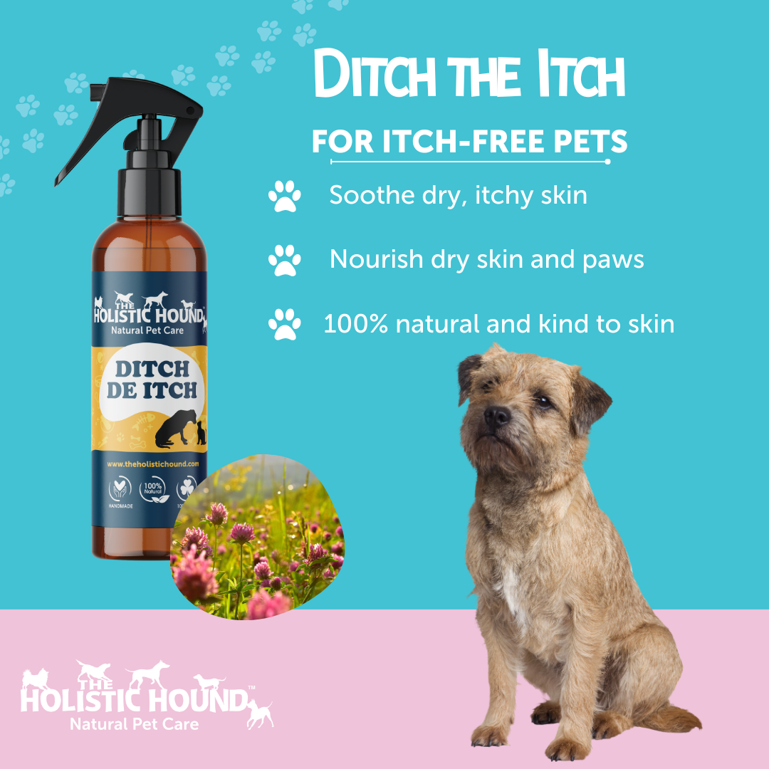 Ditch De Itch Soothing fast acting spray for pets with dry itchy skin Holistic Hound