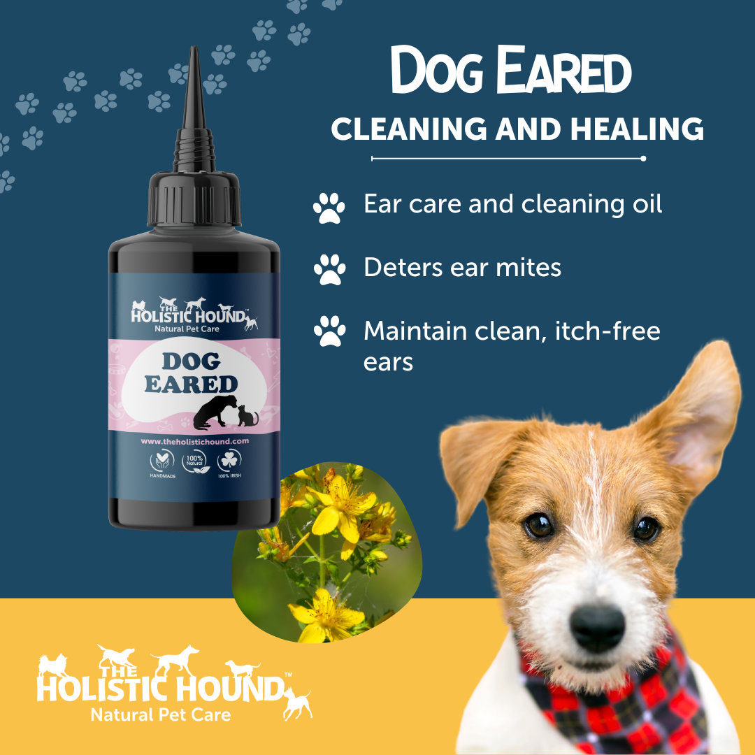 Dog Eared Natural ear cleaning care oil. Easy to apply Holistic Hound