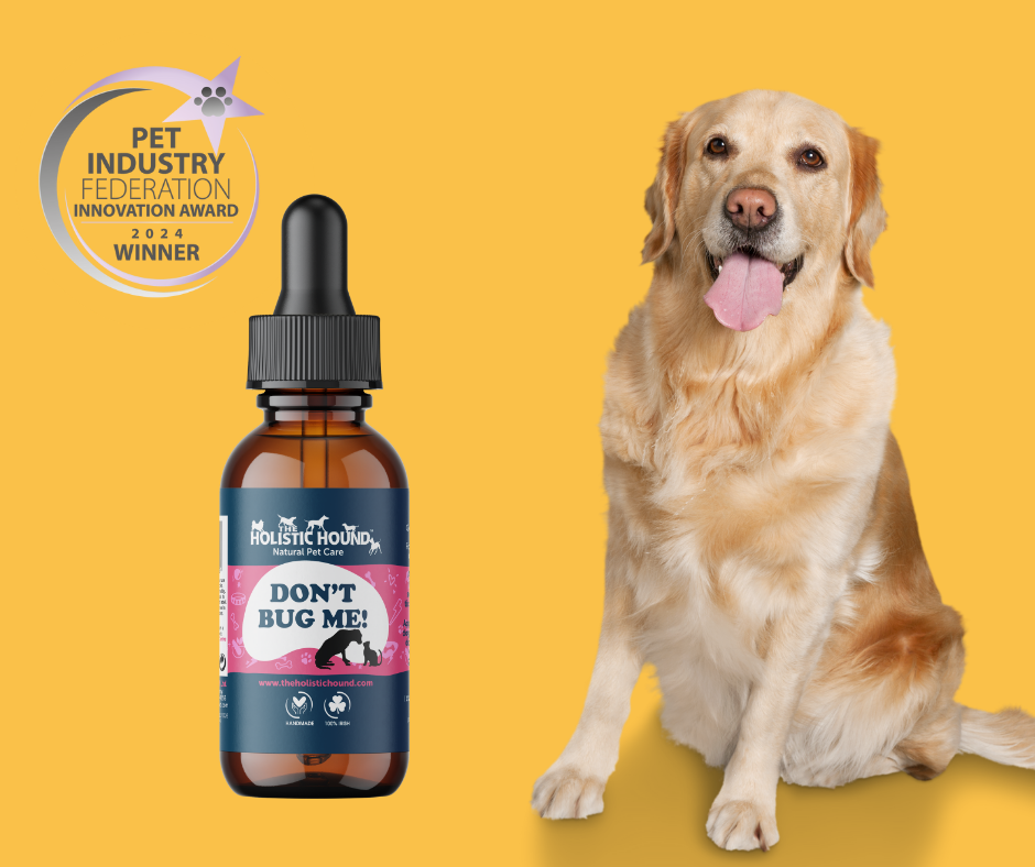 Holistic remedies for dog allergies online