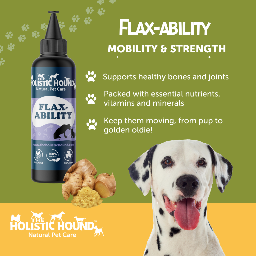 is flaxseed safe for dogs