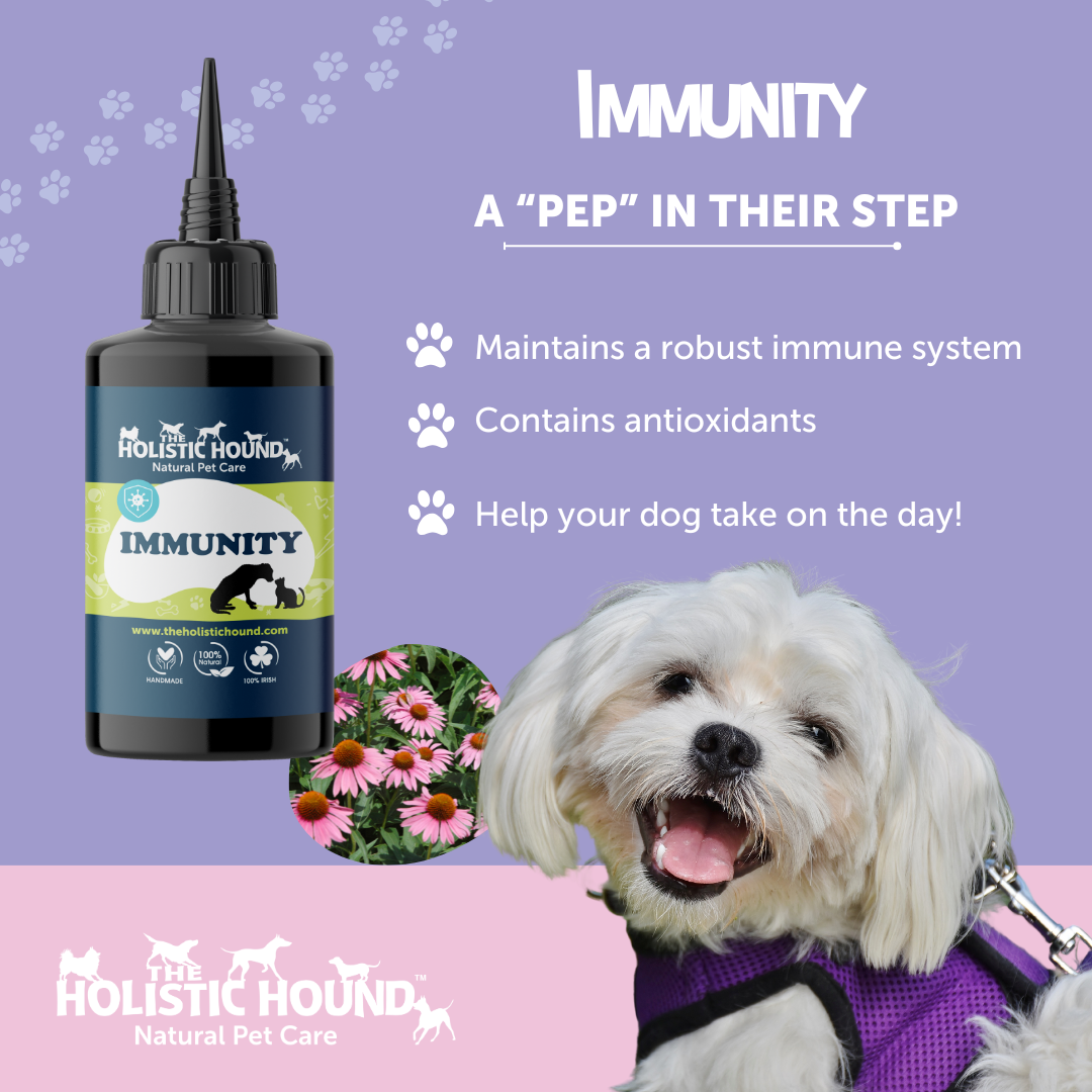 Imunity Dog Immunity | 100% natural immune support supplement for dogs | Holistic Hound