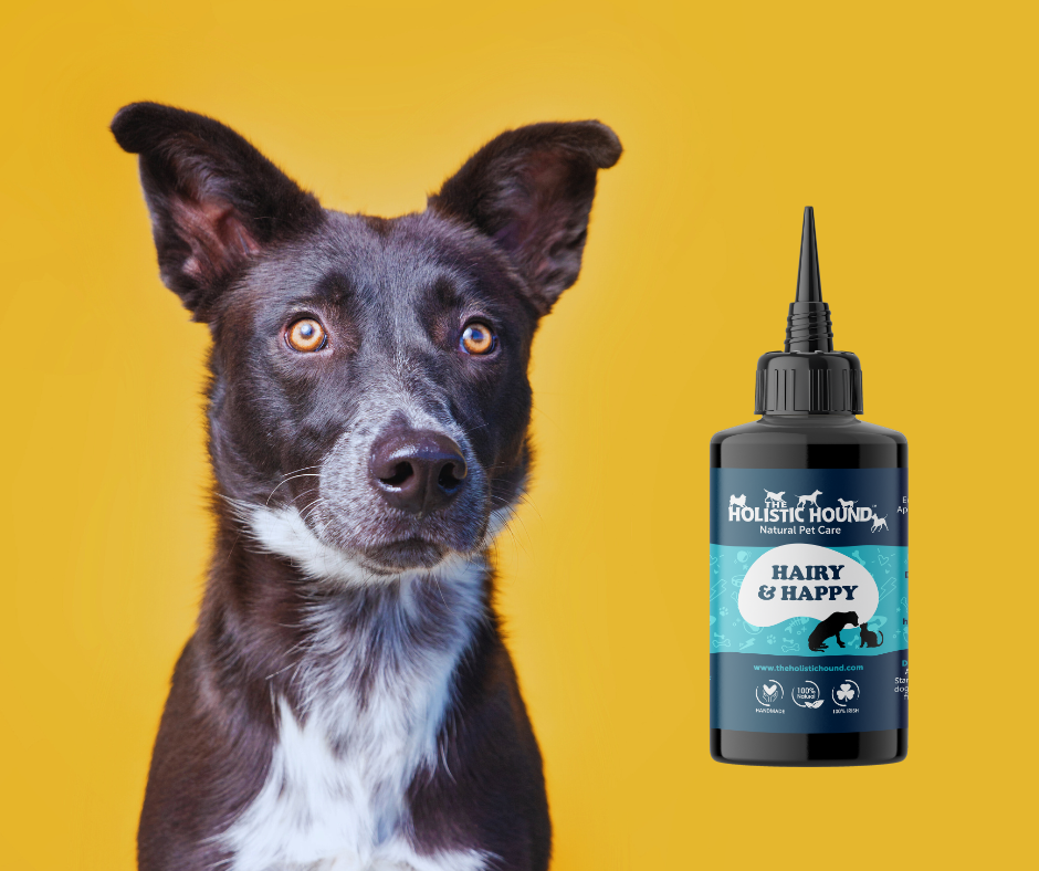 Hairy & Happy (formerly Ticked Off)