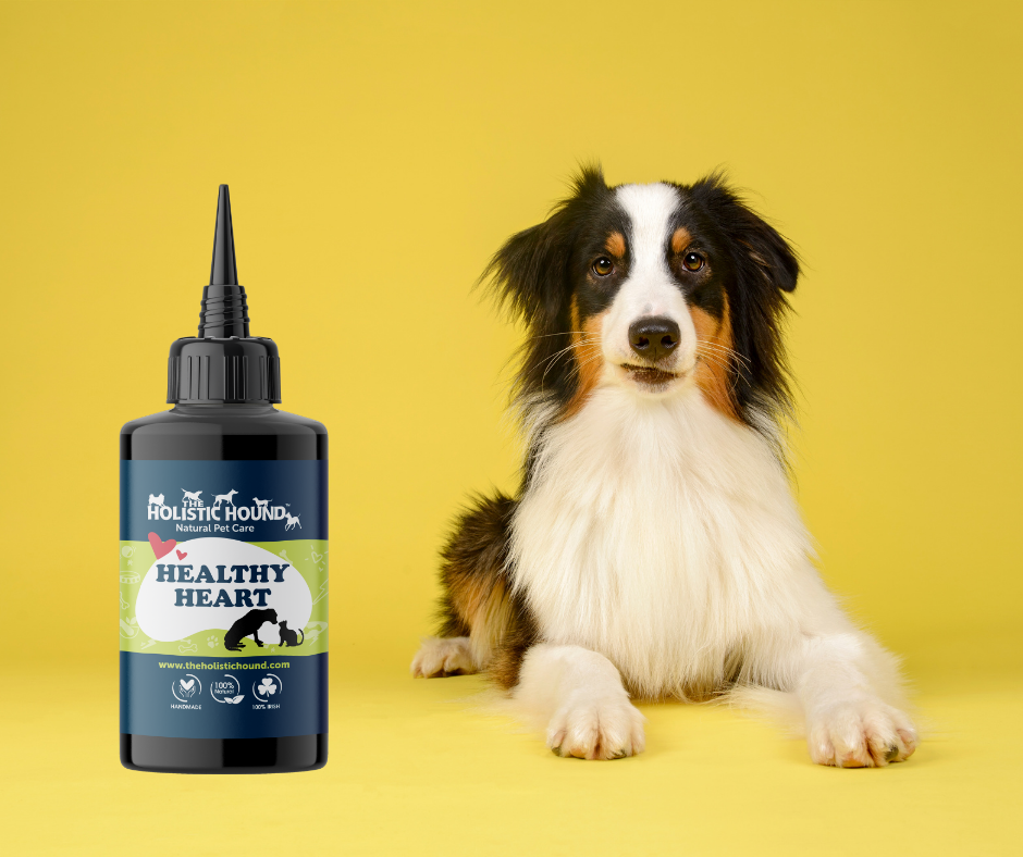 Fundamentals: Healthy Heart