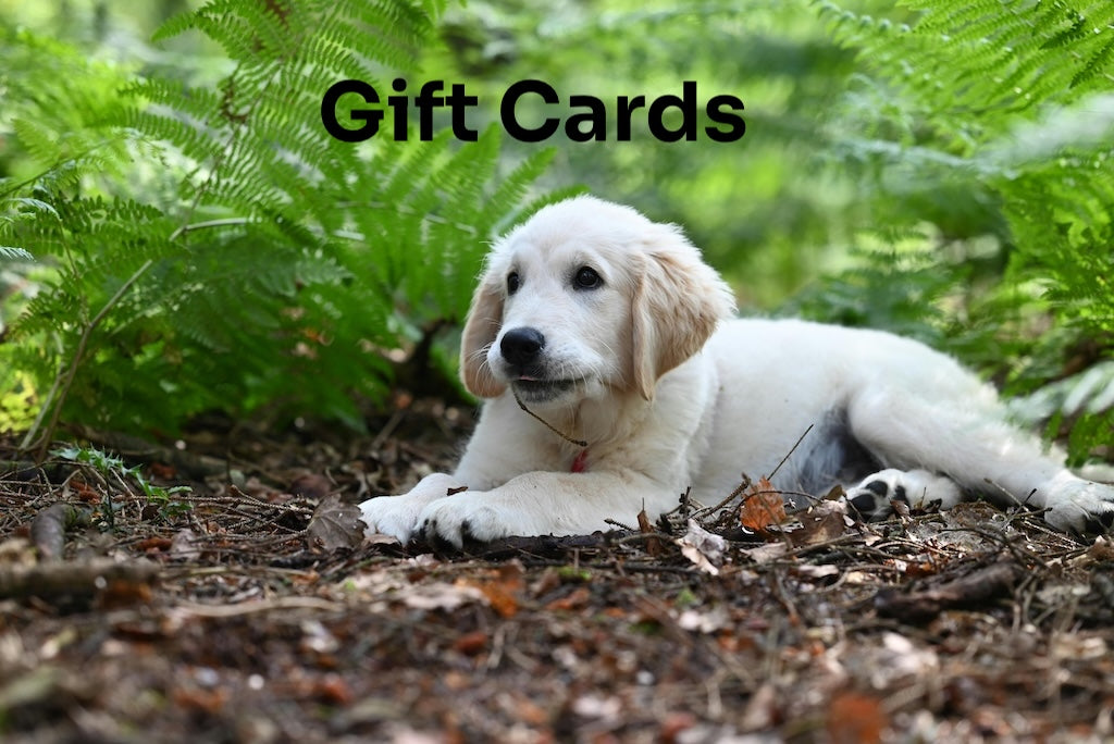 The Holistic Hound Gift Card