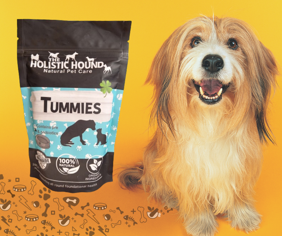 Image showcasing The Holistic Hound | Natural healthcare products & supplements