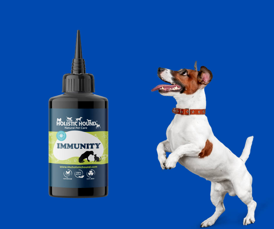 Imunity Dog Immunity | 100% natural immune support supplement for dogs | Holistic Hound