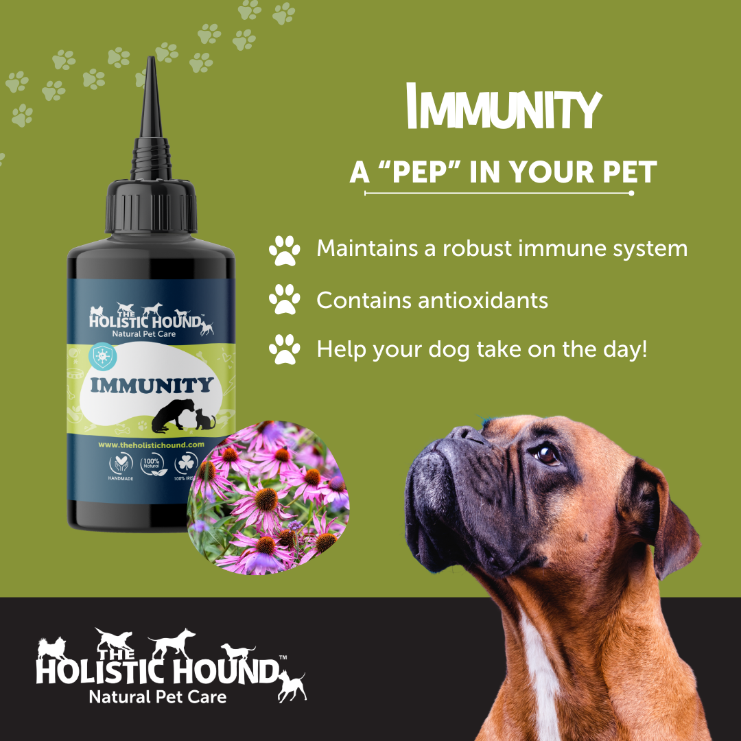 Immunity | 100% natural immune support supplement for dogs | Holistic Hound