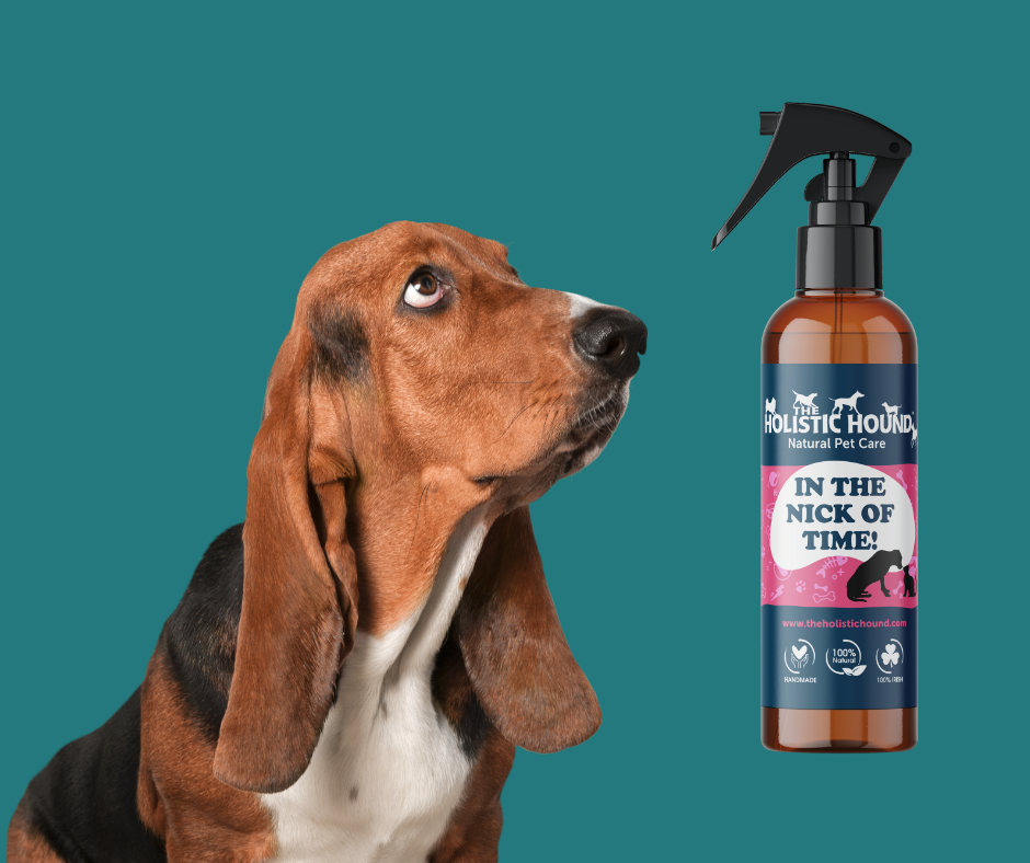 In The Nick Of Time (Formerly Heal Me Quick)