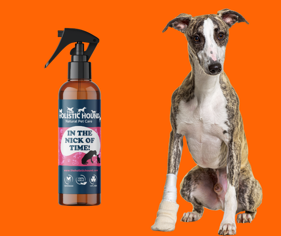 In The Nick Of Time! Herbal spray to soothe skin support pets