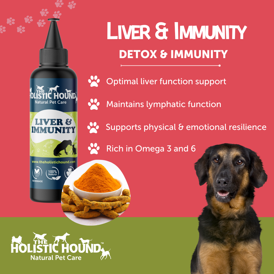 Liver & Immunity