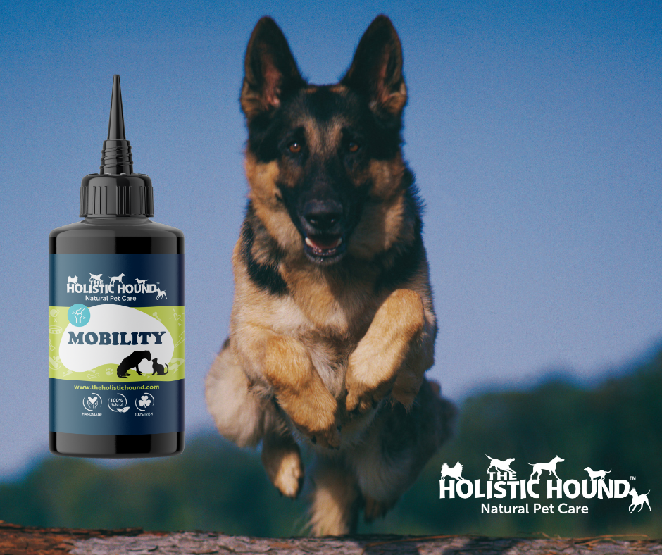 Fundamentals: Mobility