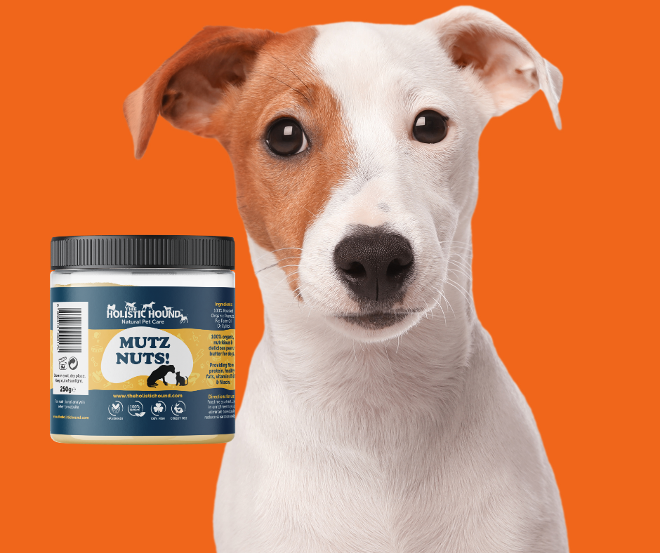 Mutz Nuts