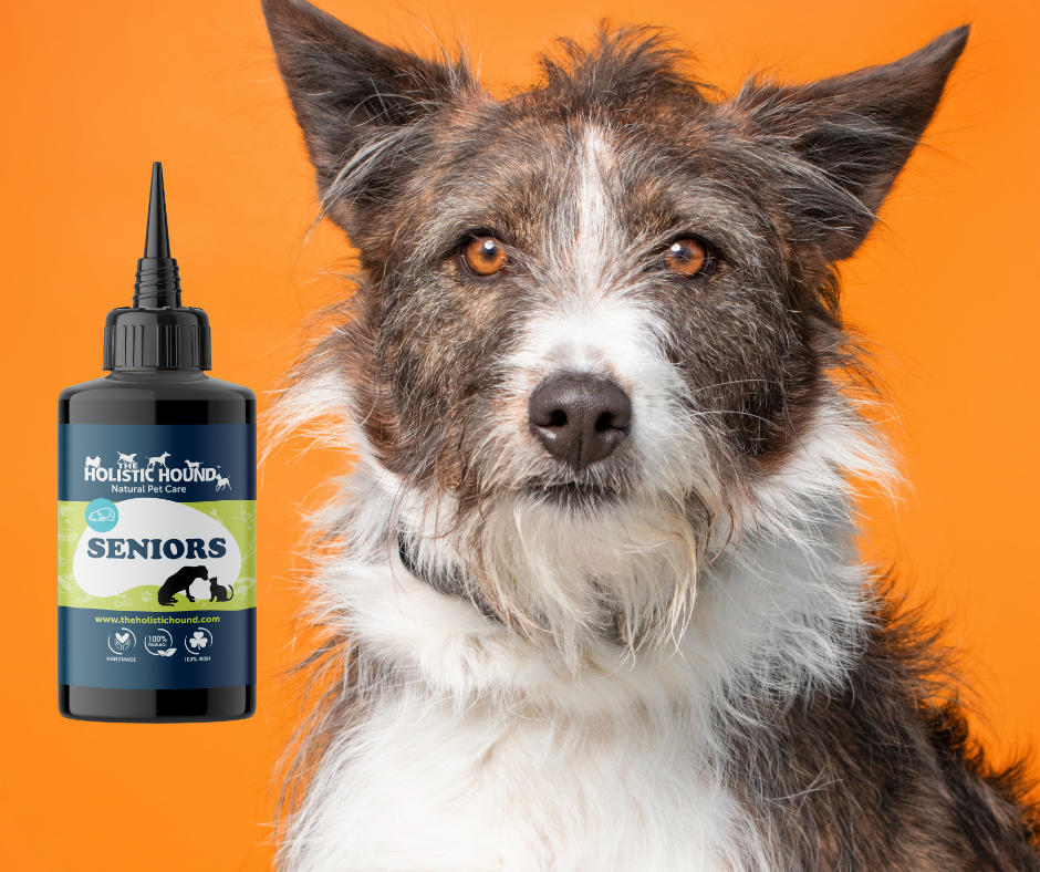 Fundamentals: Seniors