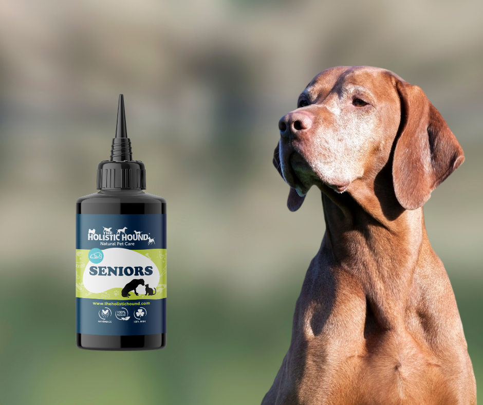 Fundamentals: Seniors