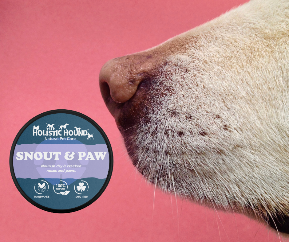 Snout & Paw Balm