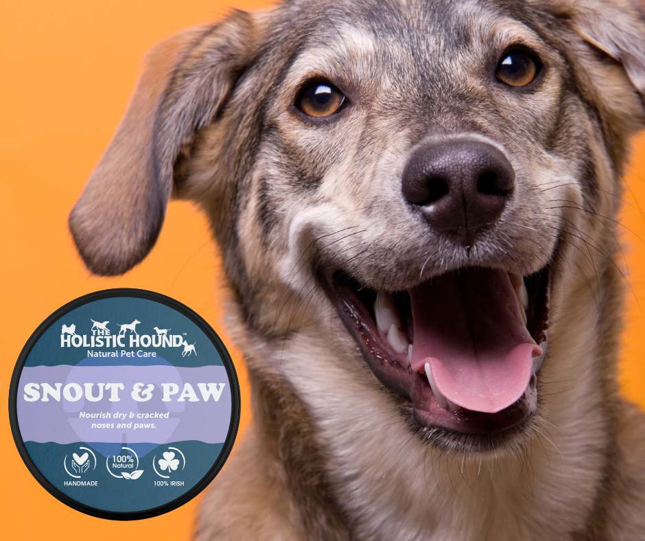 Snout & Paw Balm