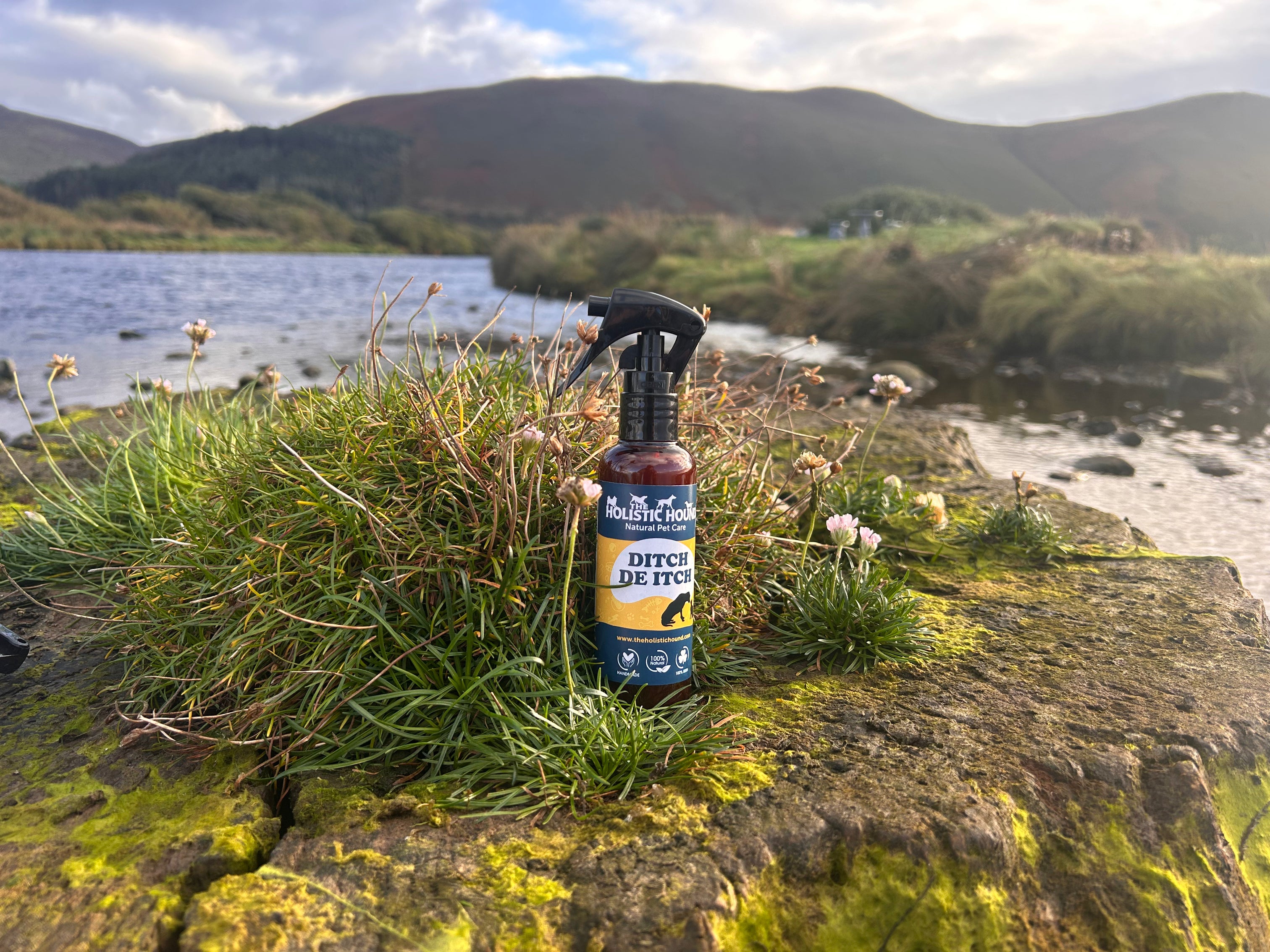 Ditch De Itch | Soothing, fast-acting spray for pets with dry