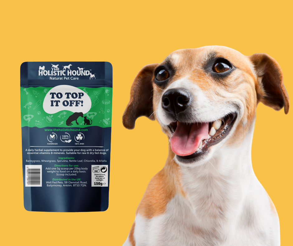 Holistic dog supplements online