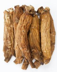 Siberian Ginseng: Eleutherococcus senticosus Rupr. Ex Maxim 1:3 45%