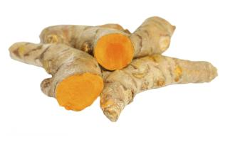 Turmeric Root: Curcuma longa 1:3 45%